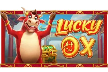 Privacy and account safety practices for 566bet mobile app sessions